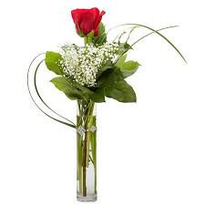 If you want the cheapest thing, go to a grocery store to get flowers for valentine's day. Cheap Roses Flowers For Valentines Day Cheap