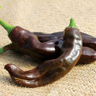Ethiopian chilli