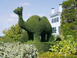 Organic Artistry How Topiary Can Transform Your Garden Design In 2020 Topiary Renaissance Gardens Garden Design