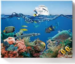 Add dimension to your coral piece by painting two different colors onto the coral surface. Amazon Com Forever20 Paint By Numbers Diy Acrylic Painting Kit For Adults Kids Beginner Underwater World Tropical Fish And Sea Turtle On Canvas Wooden Framed For Bedroom Livingroom Wall Decor 16x20in