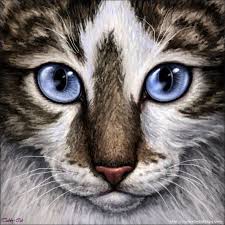 Black And White Cat With Orange Eyes Brown And White Tabby Cat With Blue Eyes Orange And White Tabby Cat Grey Tabby Cat With Yellow Eyes Brown Tabby Cat With White Tabby Cat Warrior Cats Tabby Cat