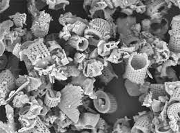 You don't want to kill off pollinators, so avoid applying diatomaceous earth near flowers. How To Apply Diatomaceous Earth Updated