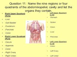 Maybe you would like to learn more about one of these? Human Anatomy And Physiology Powerpoint Ppt Video Online Download