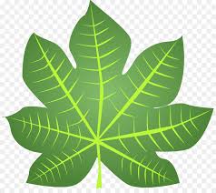 Maybe you would like to learn more about one of these? Daun Fotosintesis Blog Gambar Png