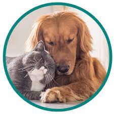 Our mission is to eliminate the needless euthanasia of healthy and treatable pets in north central florida. Humane Society Of North Central Florida Humane Society Of North Central Florida