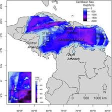 Su madre myla es de bulgaria y juntas tienen un canal de youtube llamado kymstyle. Frontiers Ecological Niche Modeling Of Three Species Of Stenella Dolphins In The Caribbean Basin With Application To The Seaflower Biosphere Reserve Marine Science