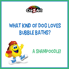 Funny Jokes For The Entire Family Both Adults And Kids Sundayfunnies Poodle Bubblebath Funny Jokes For Kids Jokes For Kids Kid Friendly Jokes