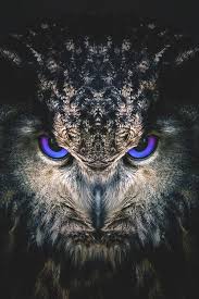 Shane Venable (korayv28)