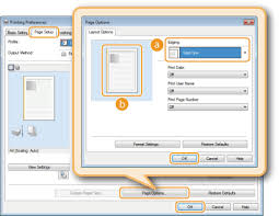 Ne prenez pas de risques avec des produits authentiques. Printing Borders Canon Lbp6030w Lbp6030b Lbp6030 User S Guide