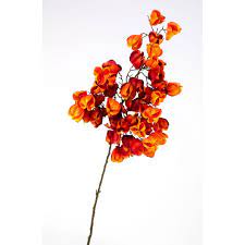 We did not find results for: Fake Physalis Spray Keola With Fruits Orange Red 3ft 95cm Fake Plants