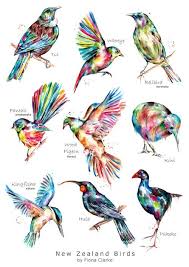 A Small Selection Of Some Of Our Beautiful Native Birds Including The Extinct Huia Each Of Them Are Created In My In 2020 New Zealand Tattoo Maori Tattoo Birds Tattoo