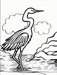 Adult coloring page with cranes. Beautiful Crane Bird Coloring Pages For Kids Animal Vista Disegni