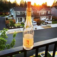 Shane Hoey (@shanehoey) • Instagram photos and videos