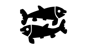 Balık kadınları aşık olduklarını gizleyemezler bir kere bedenleri buna izin vermez enerjiden dolup taşıyordur ve hatta bağırıyordur ben aşığım diye. Balik Burcu Cinsel Hayati Ve Seks Ozellikleri Bonilog