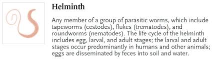 Image result for Helminth