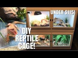 How To Build Your Own Reptile Enclosure Perfect For Bearded Dragons Skin Bearded Dragon Terrarium Ideas Bearded Dragon Habitat Bearded Dragon Terrarium Diy