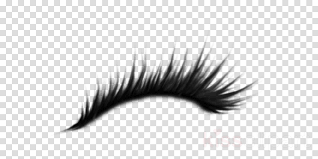 ⭐ 1 eps file ( adobe v ector file ) illustrator. Unicorn Lashes Logo Novocom Top