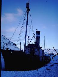 Image result for Maigruen 1982 Fleet