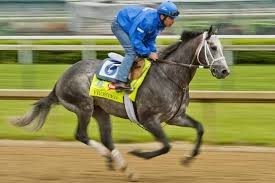 Winner Kentucky Derby 2015 141st Race Horses Position