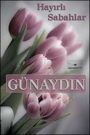 Gunaydin Gunaydinlar Gunaydinsozleri Gunaydin Gunaydinmesajlari Dilekmektubu Hayirlisabahlar Hayirlisabahlar Egzotik Cicekler Resimler Cicekli Desenler