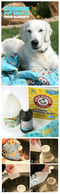how to remove pet smells from blankets