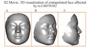 Genome-wide variants of Eurasian facial shape differentiation and a  prospective model of DNA based face prediction