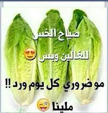 هههههههههههههههه good morning beautiful images pretty words arabic funny