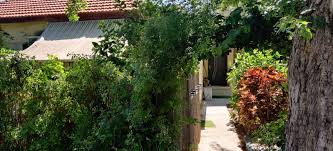 5 מס' חדרים ביחידה, עד: Rooms Per Hours ×¦×™×ž×¨ ×'×™×•