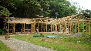The best simple house floor plans. The Reality About Building With Bamboo Guadua Bamboo
