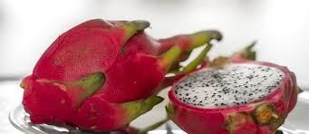 Dragonfruit cactus is grown by planting a dragonfruit seed in a cactus patch, requiring 95 farming. Dragon Fruit Facts And Health Benefits For Kids