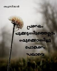 (continued from his main entry on the site.) guevara: Pin By Amrutha Raj On Mazhayormakal Malayalam Quotes Love Quotes Emotions