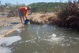 Dari sana, mereka melakukan perjalanan ke hidung anda. Fenomena Mata Air Panas Dan Asin Dimanfaatkan Warga Untuk Membuat Gendar Halaman All Kompas Com