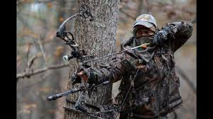 Si, habéis leído bien, colorear preciosos dibujos. Las 10 Mejores Marcas De Arcos Compuestos Youtube