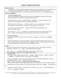 Digestive System Coloring