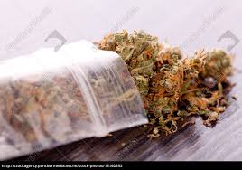 La marihuana es el medio de comunicación en español más visitado sobre la industria del cannabis. Cannabis Marihuana Bluten In Kleinem Beutel Drogen Lizenzfreies Bild 15162553 Bildagentur Panthermedia