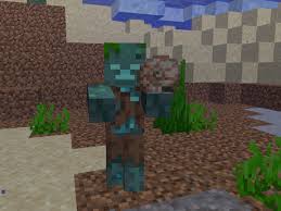 It can be extended until you get to the limit of 42 blocks where it can retaliate against hostile ocean mobs too. How To Activate A Conduit In Minecraft 10 Steps With Pictures