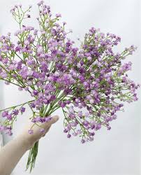 Check spelling or type a new query. Buy Gumolutin 9pcs Long Stem Artificial Baby Breath Flowers Fake Real Touch Gypsophila For Home Office Indoor Outdoor Wedding Decoration Festive Furnishing Purple Online In Taiwan B07v7wj13m