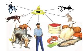 Maybe you would like to learn more about one of these? Cach Xá»­ Tri Va Phong Chá»'ng Ngá»™ Ä'á»™c Thá»±c Pháº©m Táº¡i Nha Xet Nghiá»‡m Dr Labo