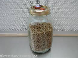 This is the second video to my series, thanks for watching. Magic Farm S Oyster Mushroom Rye Grain Jar Kit Grow Oyster Mushroom Spawn Ebay