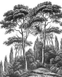 Papier peint jungle tropical noir et blanc big panoramique, l511,5 x h260, ohmywall, 379€ (existe en d'autres formats plus petits). Papier Peint Panoramique Ananbo Pins Et Cypres Noir Et Blanc Papier Peint Panoramique Paysage Noir Et Blanc Papier Peint