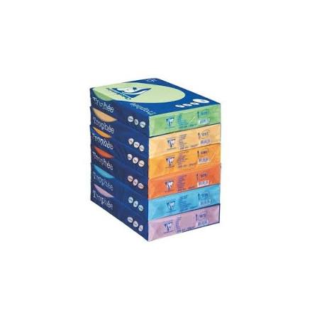  Lot de 5 Ramettes papier couleur TROPHEE A4 80g/m² 500 feuilles Coloris au choix — Synapses Maroc