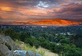 Walnut creek, ca 0 miles. Flower Delivery In Walnut Creek Ca Florist Flower Delivery In Concord Ca Flowers Of Joy