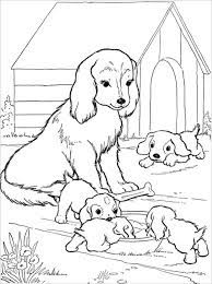 Free printable mother's day coloring pages paper trail design. Mom And Baby Animal Coloring Pages Novocom Top