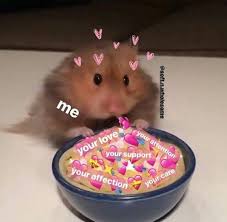 Pinterest Gothicmochas Follow Me Wholesome Memes Love Memes Wholesome