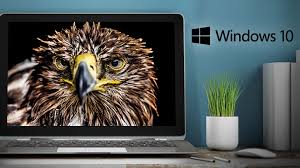 Windows 10 Wallpaper Gratis Zum Download Computer Bild While windows 10 doesn't natively support live wallpapers, there is a couple of handy software that can help you out in this regard.