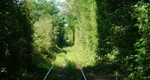 .tunelul dragostei din bucuresti, asemenea mai cunoscutului tunel al dragostei ce strajuieste calea ferata dintre localitatile obreja si glimboca din caras severin. Hai Prin Romania