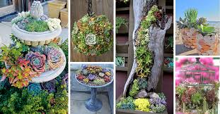 In a garden setting, these elements can be represented by boulders, rocks, pebbles, and gravel that provide the back drop for cacti and other succulent plants. 50 Best Succulent Garden Ideas For 2021