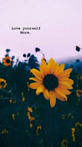 Maybe you would like to learn more about one of these? Sunflower Tumblr Wallpaper