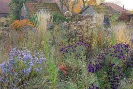 Oudolf Wild Garden Dutch Gardens Landscape Design Garden Planning