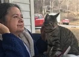 Obituary information for Sharon Darlene Wolfe